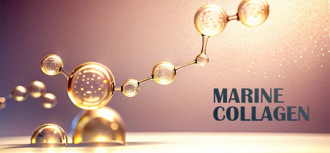 What is Marine Collagen? Is it Really Beneficial?